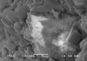 Backscatter SEM images of samples showing U-rich phases
