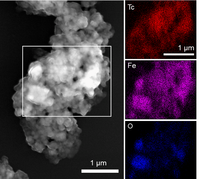 SEM micrograph of the iron oxide as a result of ZVI granules dissolution/reprecipitation; b–d EDS maps of Tc (b), Fe (c), and O (d). The maps were collected from the area outlined in white on the SEM image (a).
